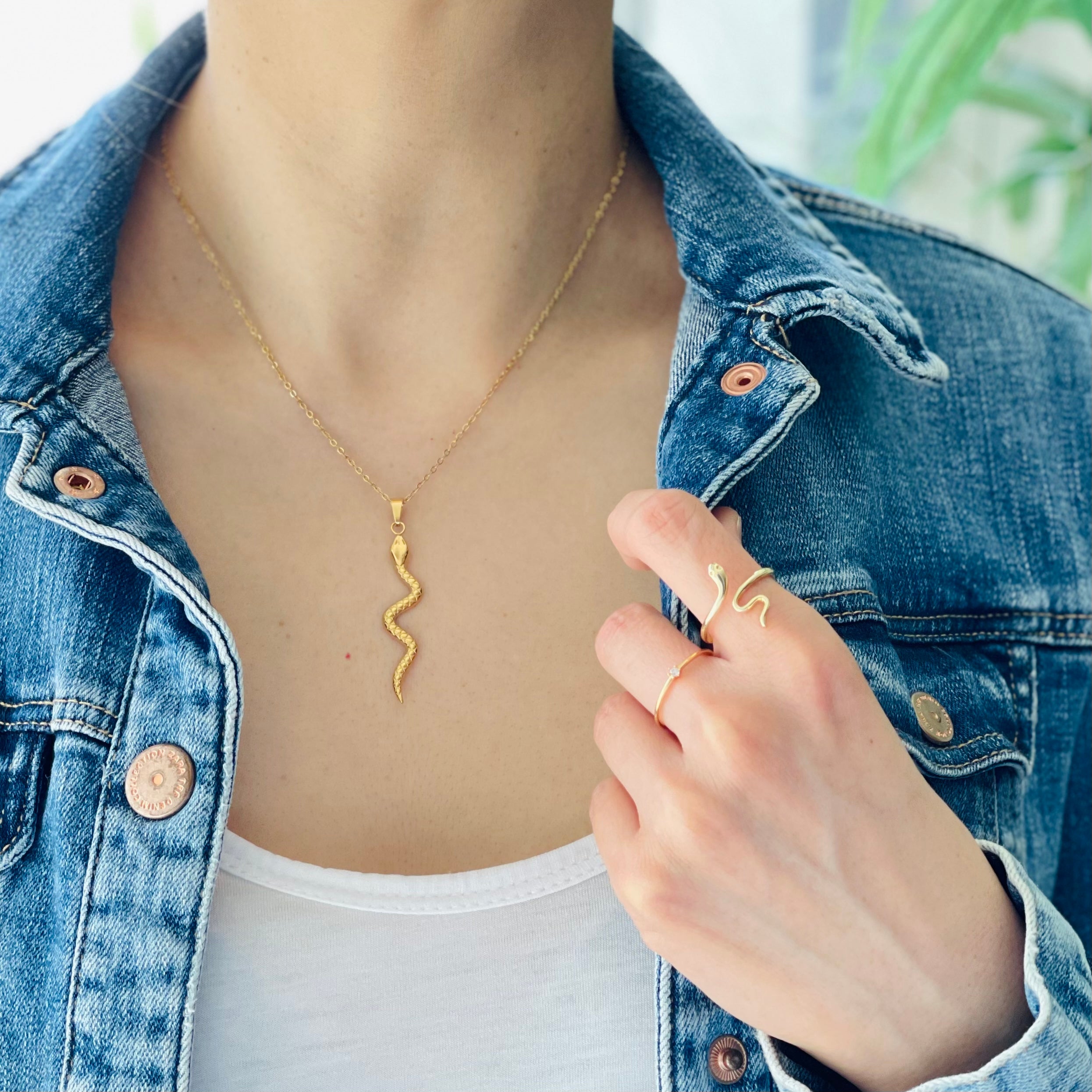 Stainless Steel Snake Necklace – ivvy - Main Image